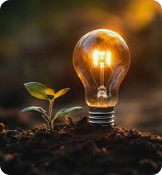 Light bulb and plant illustration